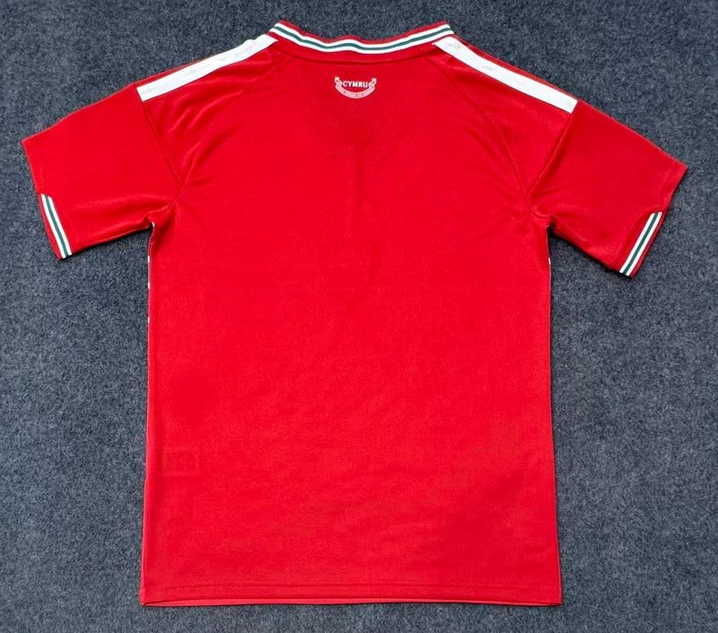 Camisa País de Gales Titular 26/27