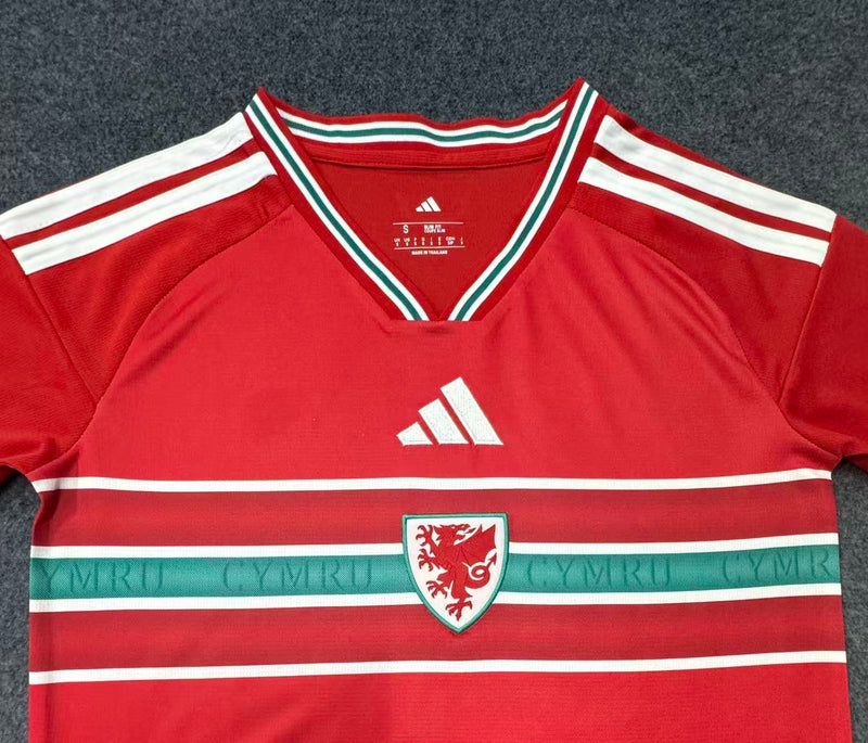Camisa País de Gales Titular 26/27