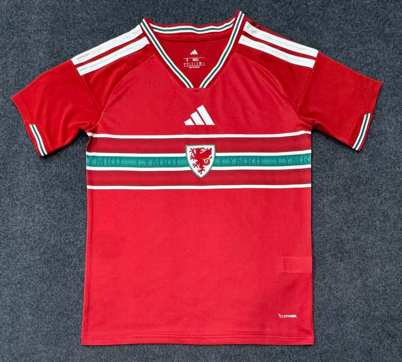 Camisa País de Gales Titular 26/27