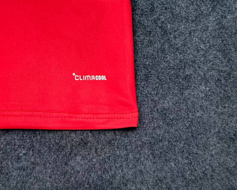 Camisa País de Gales Titular 26/27